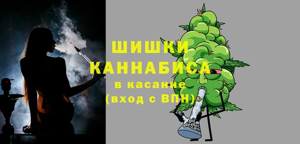Альфа ПВП Аркадак