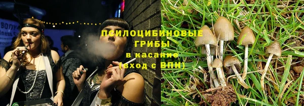 молекула духа Алексеевка